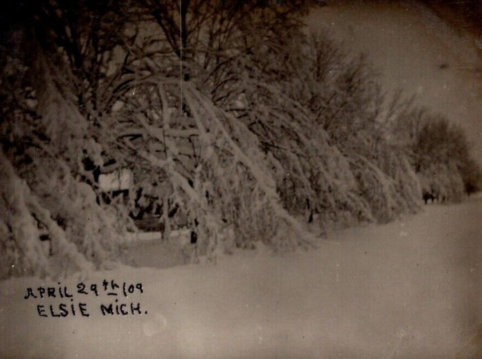 Elsie - Old Postcard (newer photo)